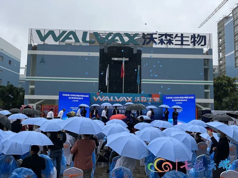 今天发运!沃森生物13价肺炎疫苗出口摩洛哥_腾讯新闻