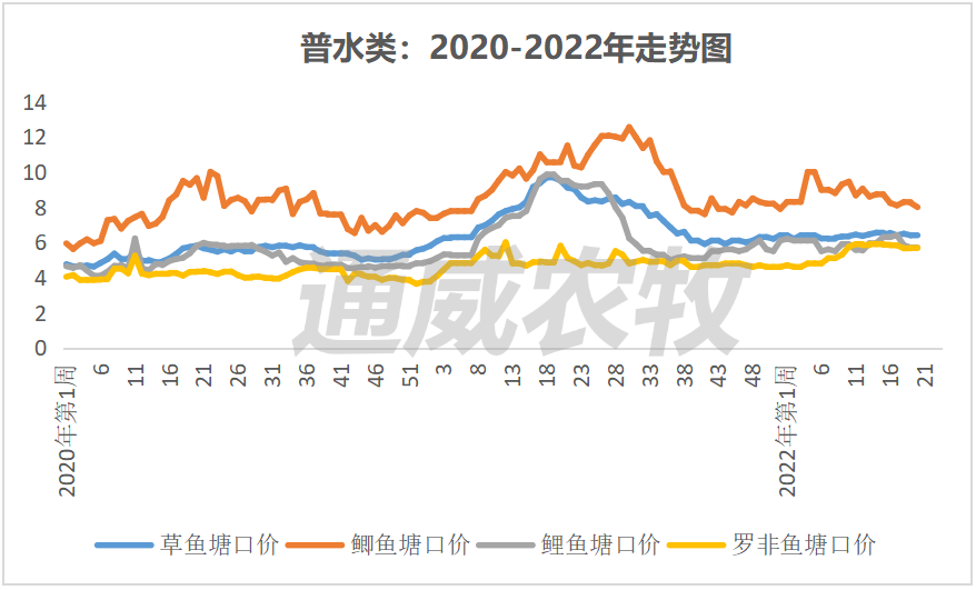 喜憂參半草魚加州鱸行情逐漸回暖對蝦價格最高下跌3元斤