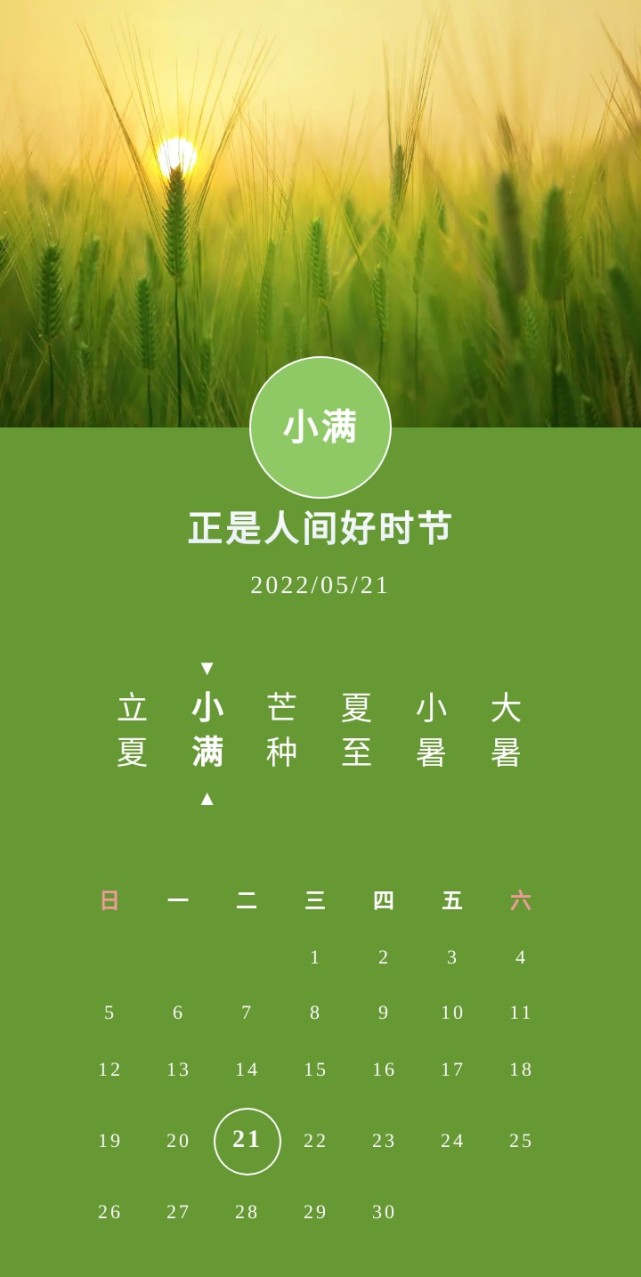 小满,正是人间好时节