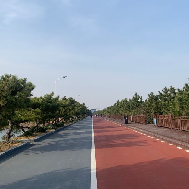 日照沿海公路图片