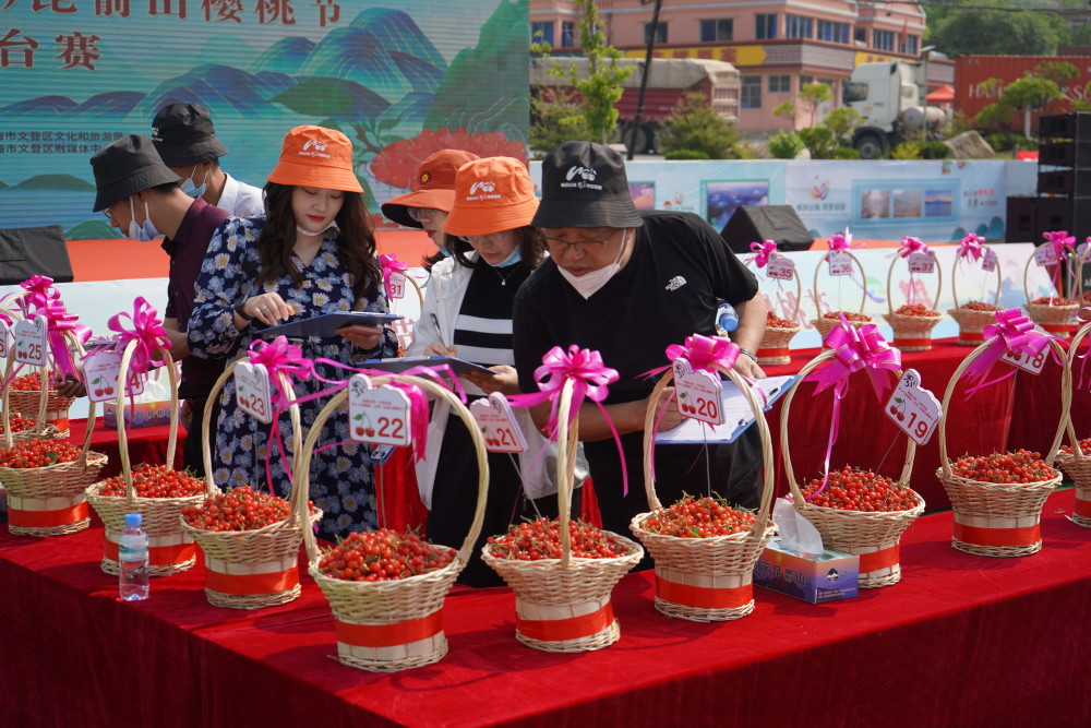 丨第十八届威海文登昆嵛山樱桃节开幕