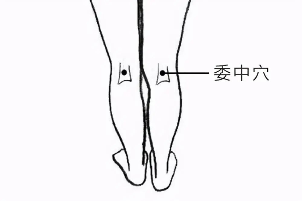 委中穴穴腹痛吐泻小便不利遗尿