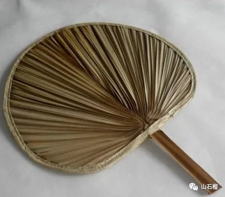 散文|孙强:母亲的旧蒲扇