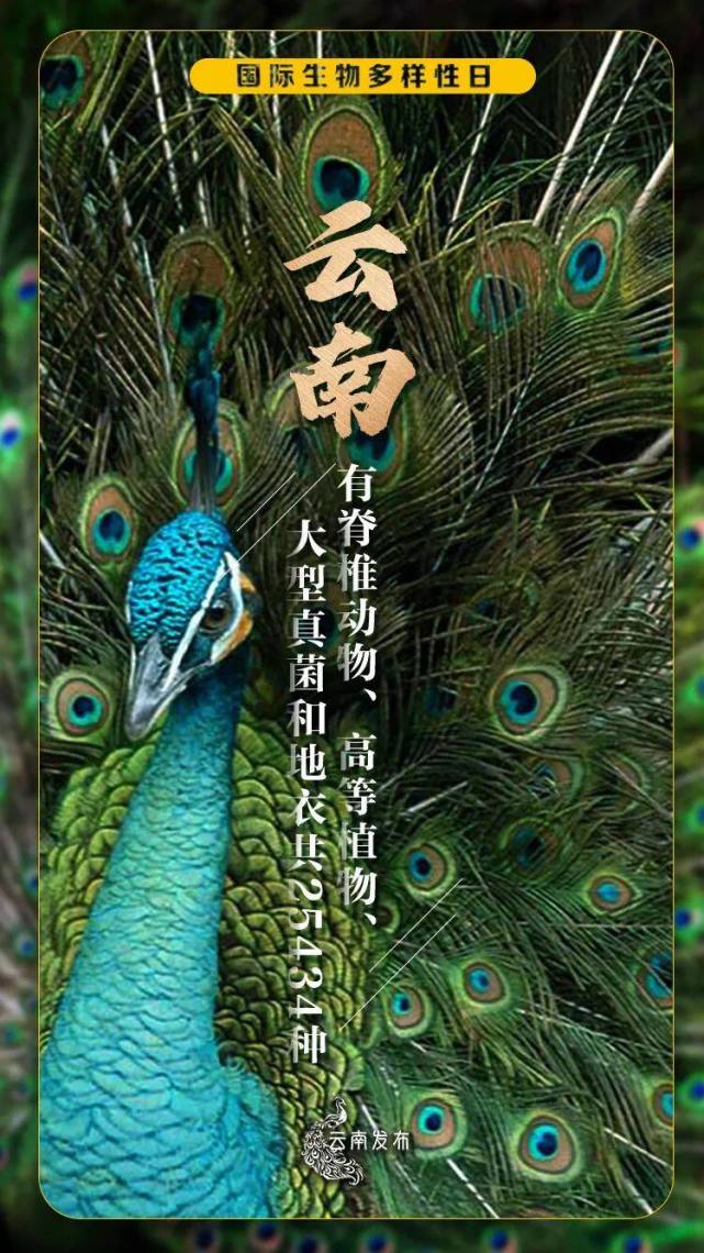 在云南,遇见生物多样性之美!