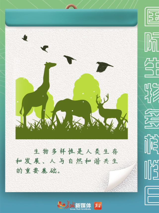 海报集与万物共生让世界更美