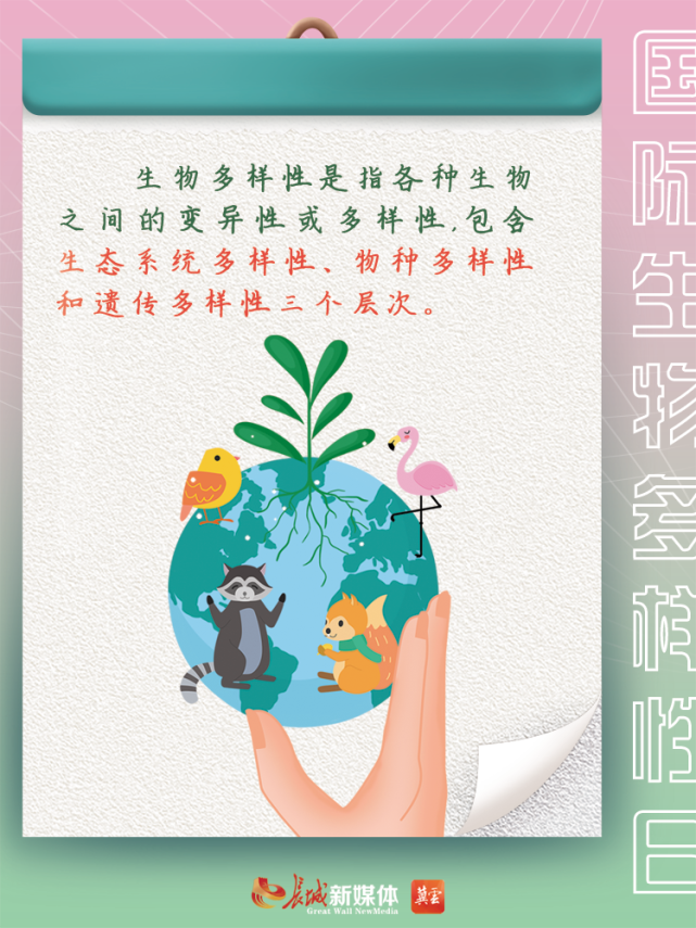 与万物共生,让世界更美,让我们共谋人与自然和谐共生之道,保护生物