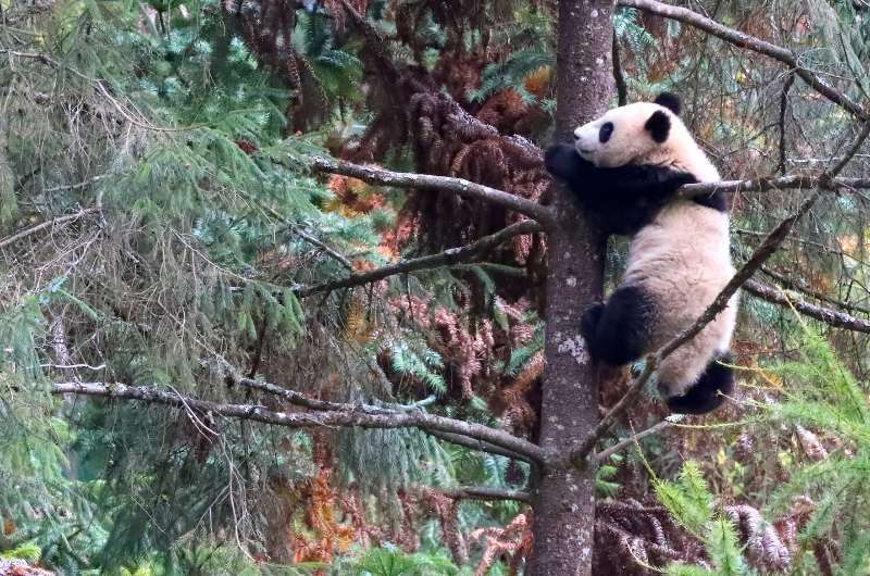 今天是国际生物多样性日！一起看看这些美丽生灵