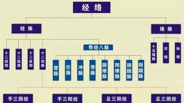 三焦不通上熱下寒,膽經不通結節積聚,肝經不通胸脅脹痛……一定要疏通