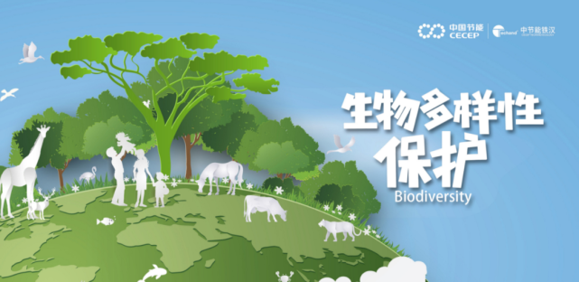 万物生长之际国际生物多样性日如约而至保护生物多样性是生态文明建设