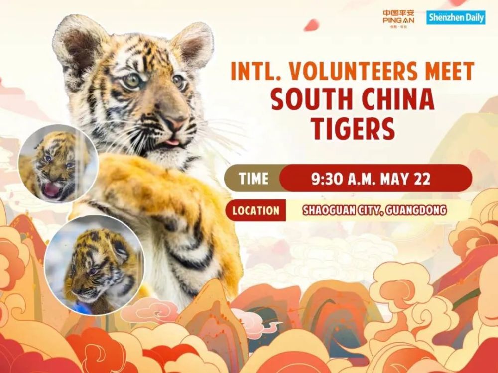 守护华南虎他们也加入了