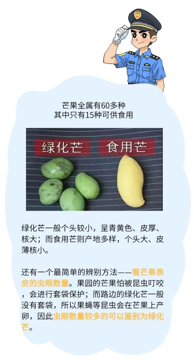 ▼绿化芒和食用芒的区别是不是绿化芒呢?