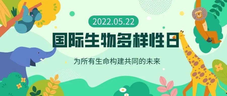 國際生物多樣性日昌平區生態環境局開展多彩活動快來看看吧