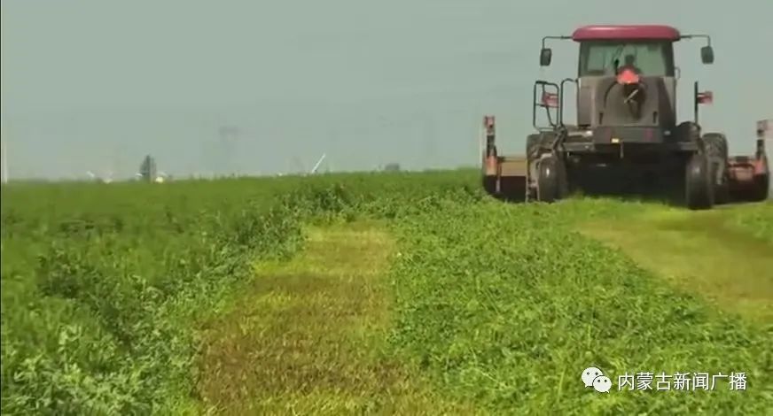 伊利集团副总裁刘大鹏:"我们的产业发展一直(致力于)绿色经济的发展.