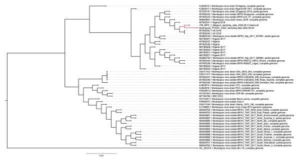 猴痘病毒最新基因测序：温和西非株系，与三年前英国毒株相近