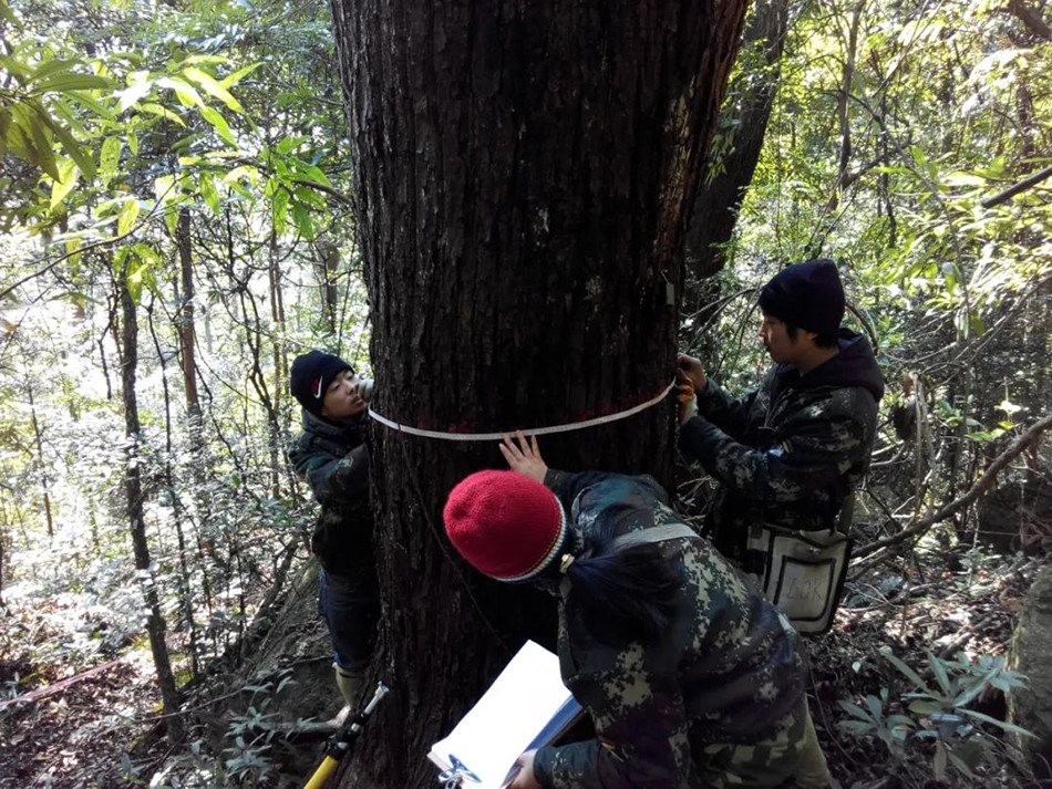 巴慕达4.9英寸小屏手机出现“骨折价”甩卖，约2300元徐州市八年级上册音乐书目录