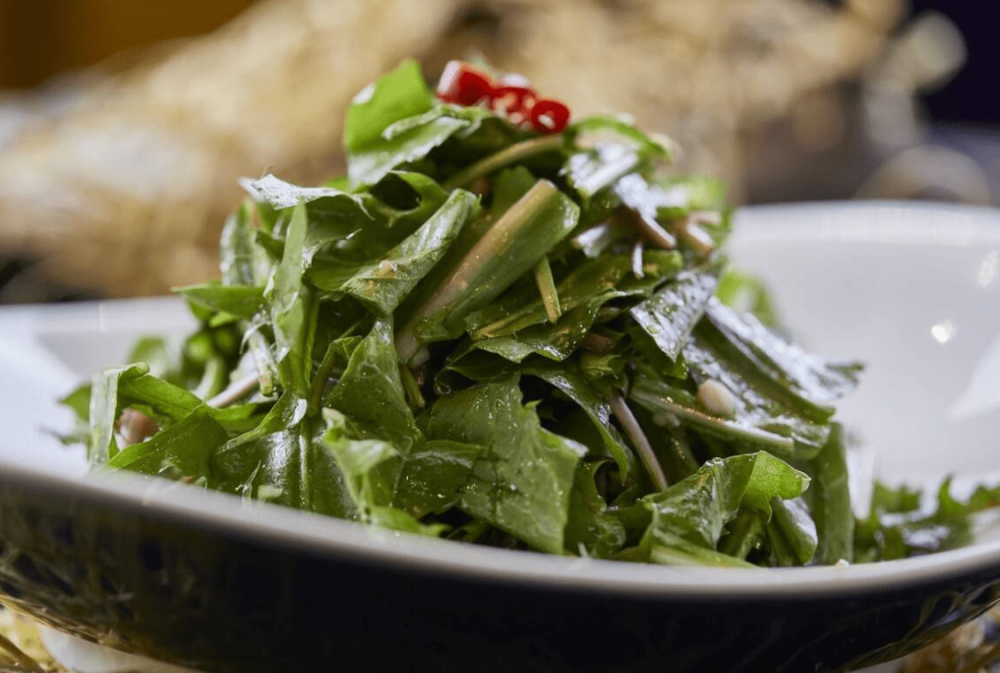 小满后建议多吃5种苦菜清热去火消暑气热天不疰夏