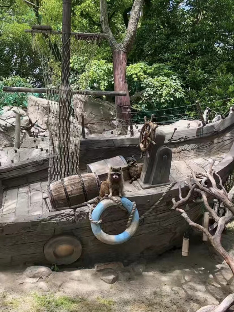 上海野生动物园闭园已72天：300多人陪伴近万只动物在直播间见面三年级湘少版英语课本