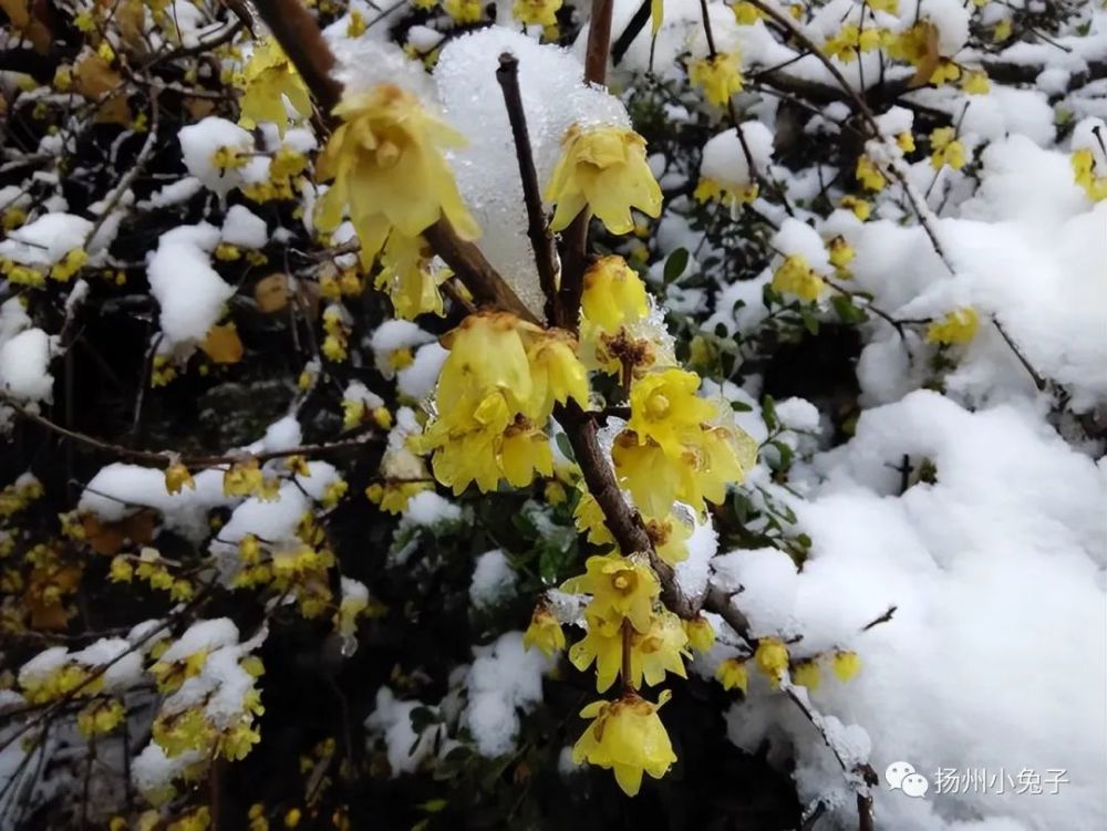 近期谍战电视剧排行榜_看了部最近接史实的谍战剧,没想到还挺好看