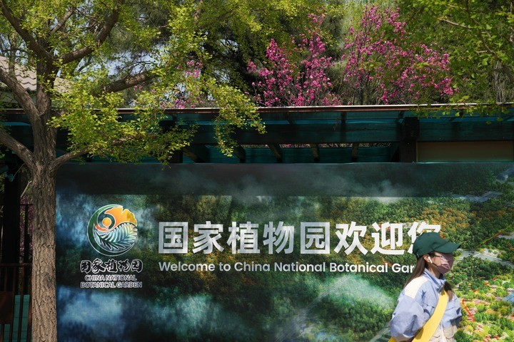中国推进国家植物园体系建设开辟生物多样性保护新格局