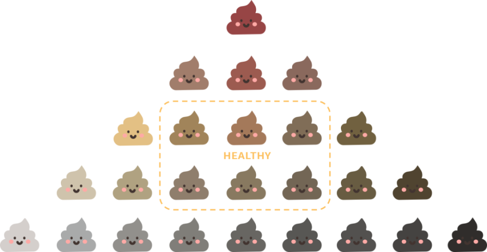 正常情况下,大便通常呈现棕色.