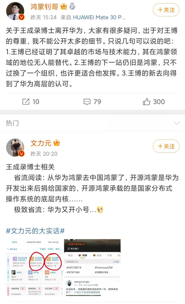华为鸿蒙领路人王成录被曝离职或将加入深开鸿继续鸿蒙研发