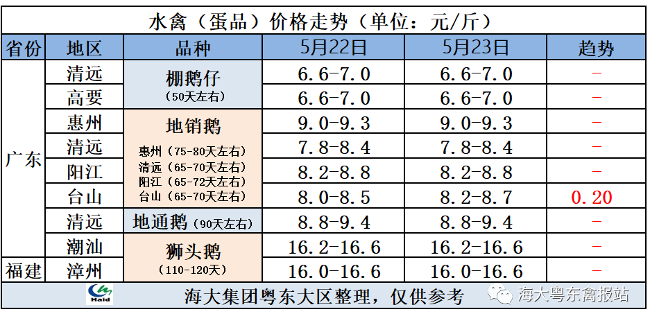 元/斤商品鹅蛋商品鹅蛋价格黑狮大鹅黑狮鹅苗狮头大鹅狮头鹅苗狮头苗