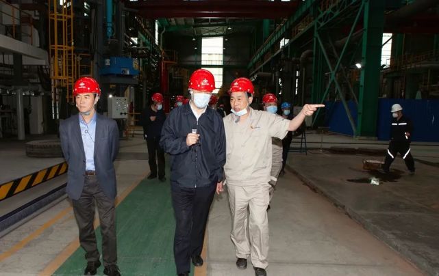 鞍钢集团科技发展部总经理刘丰强,攀钢党委常委,副总经理杨秀亮陪同