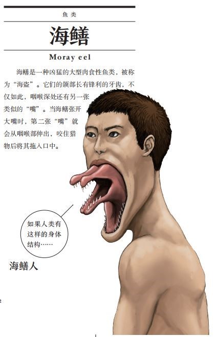 跟动物交换身体是怎样一种体验