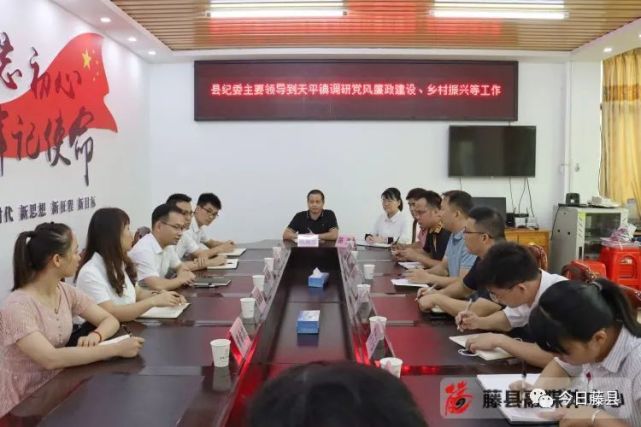 夏敏到天平镇调研指导党风廉政建设及乡村振兴工作