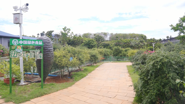 海南开放大学与琼海市大路镇人民政府校地合作签约揭牌活动成功举办