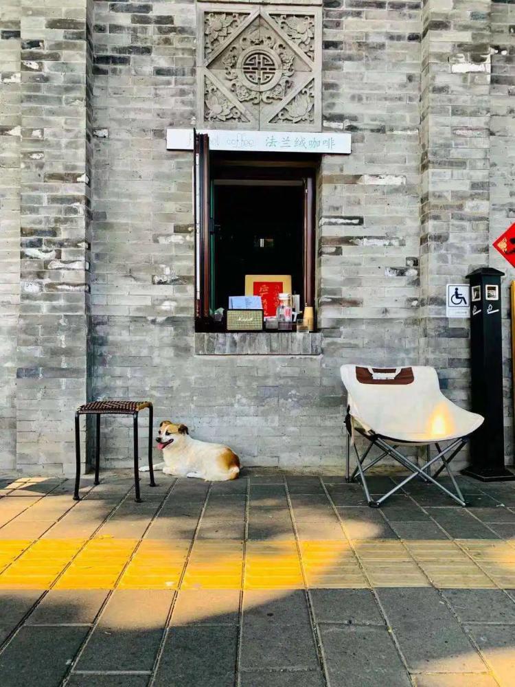 在北上广开咖啡店：没了堂食，有人日入过千，有人一杯难卖揭阳机场t22023已更新(头条/今日)
