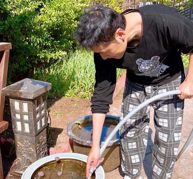 黄征在北京的家火了:低头种菜,抬头看花,简直就是"世外桃源"