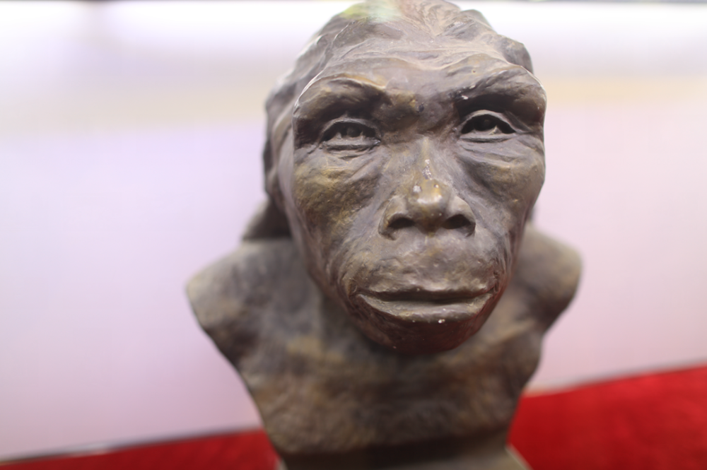 西安蓝田猿人旧址,100万年前的人类为什么选择秦岭生活?