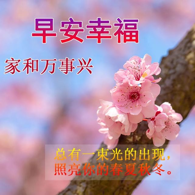 清晨唯美漂亮早上好动态动态图片,早上好动画表情图片大全