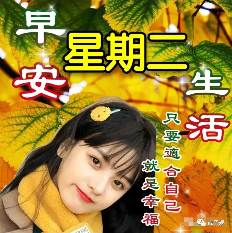 2022年5月24日週二早上好哲理句子,星期二早安祝福問候唯美帶字圖