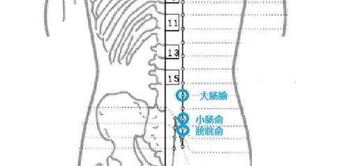 小肠俞:白带,腰腿疼