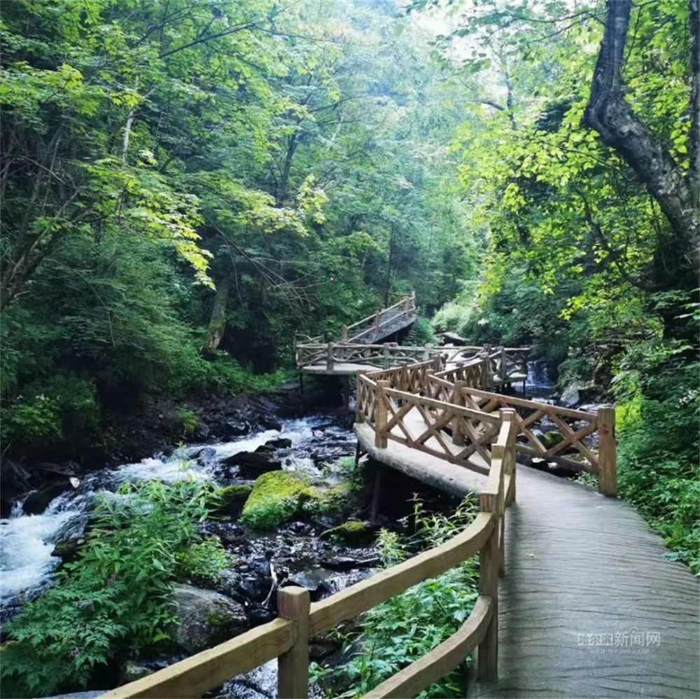 鳳凰山國家森林公園5月28日開園|預約購票,自駕線路看這裡_騰訊新聞