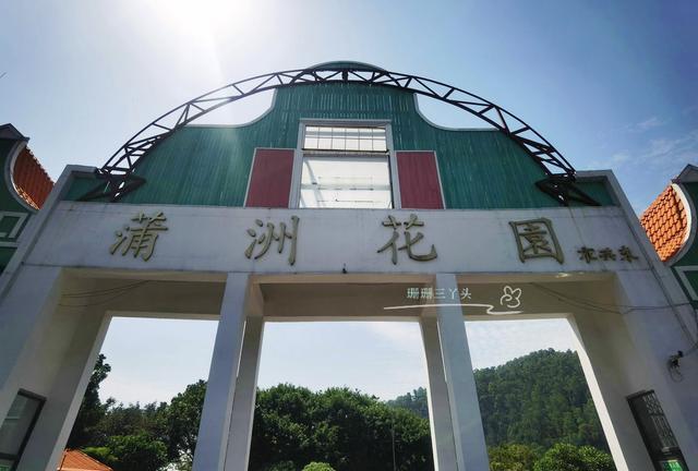 广州这水乡一条街,是张国荣拍《九星报喜》外景地,充满江南风情