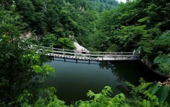 河南景點推薦魯山縣畫眉谷景區免費語音導遊