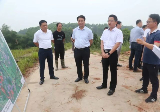 张浩龙调研督导垦造水田项目工作