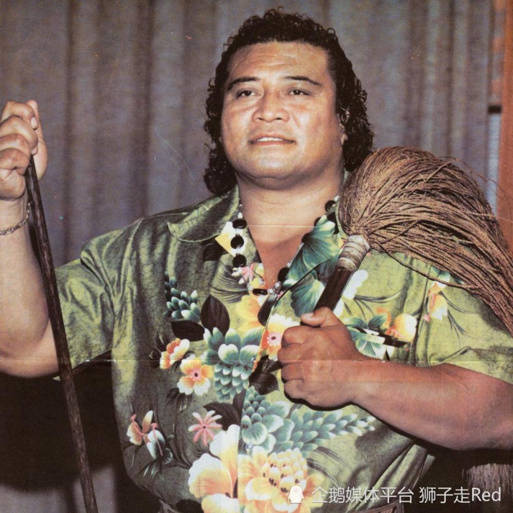 萨摩亚阿诺伊家族Anoa'i family精选照片集_腾讯新闻