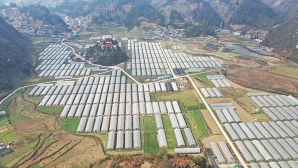 七星關區燕子口鎮:建強