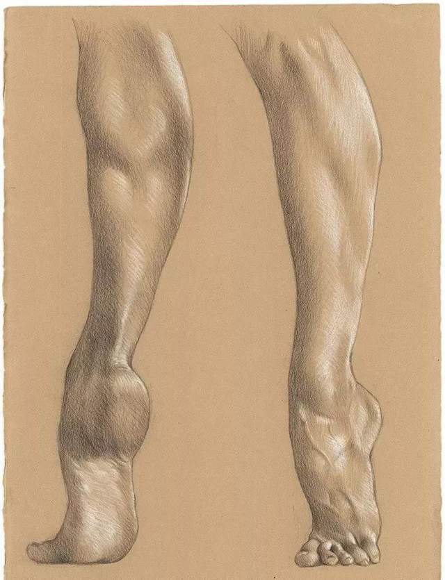 从五官到动态,你要的素描结构范本来了