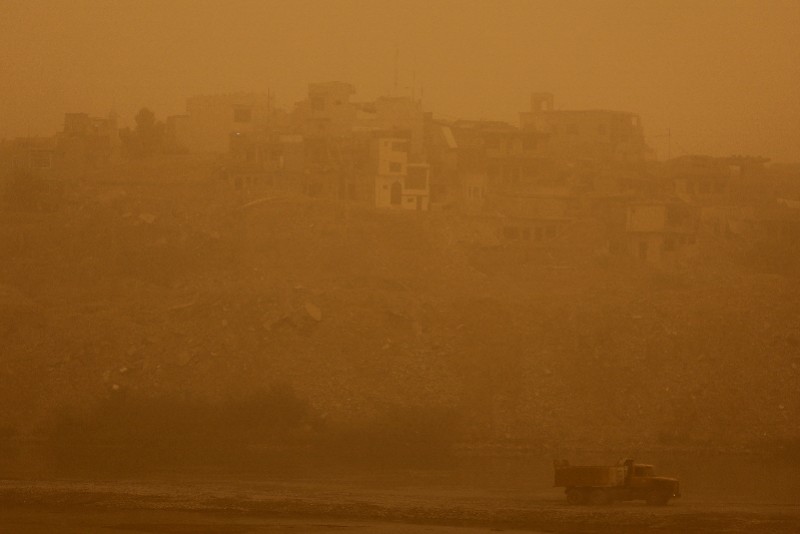 图集：中东海湾地区再遭大规模沙尘暴袭击，羊吃草还是吃土？迈格森英语怎么样