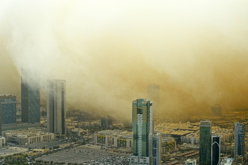 图集：中东海湾地区再遭大规模沙尘暴袭击，羊吃草还是吃土？
