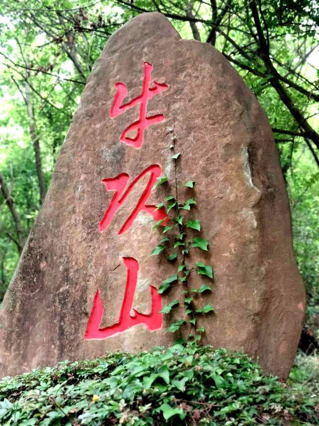 广元有个牛头山,海拔1214米,你去过吗?