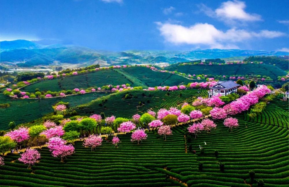 我们的新时代龙岩漳平融合之城绿色家园