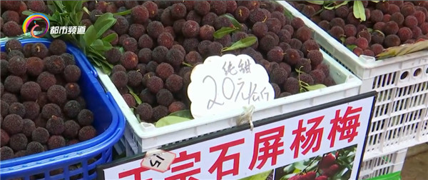 昆明杨梅销售价格下跌,原因是