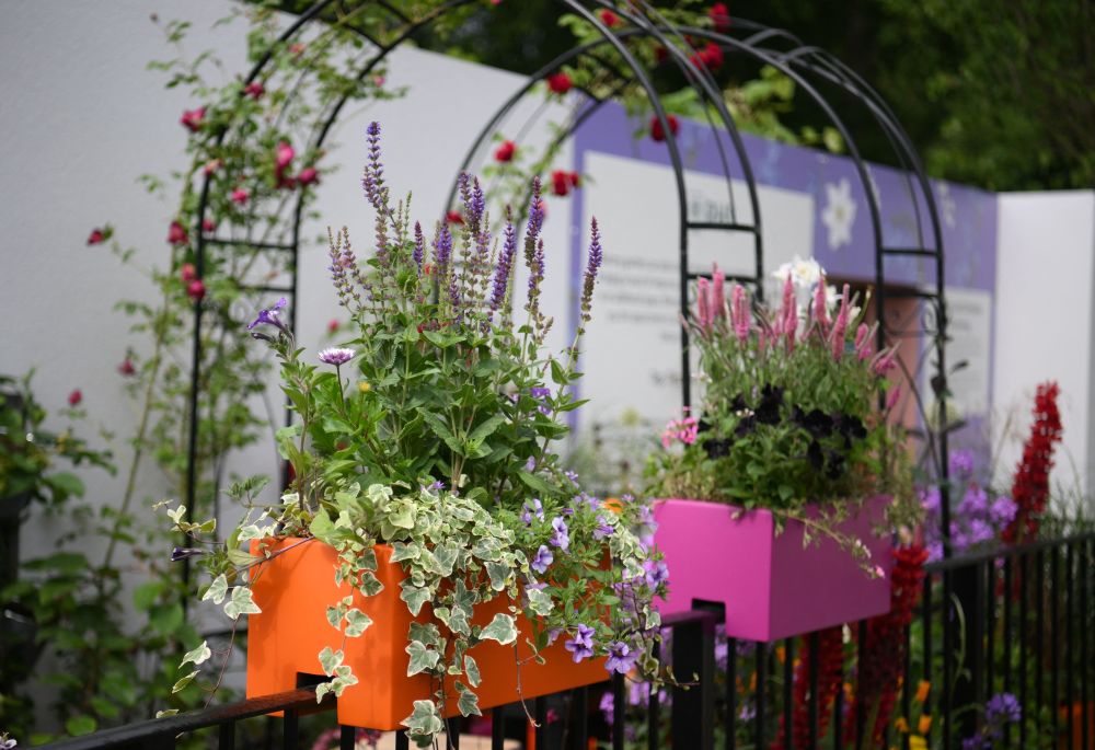 外代二线伦敦切尔西花展即将对公众开放2