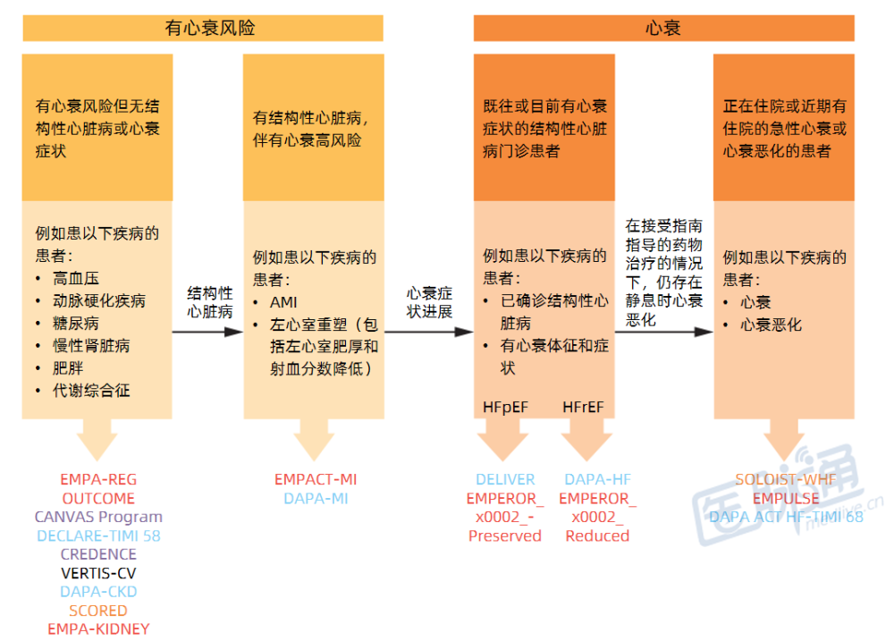 心衰患者中的主要臨床試驗注:在紅色字體標註的研究中,試驗藥物為恩